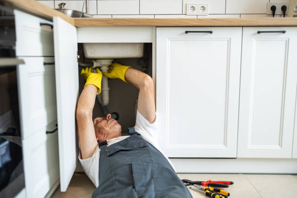 Best Septic Systems  in Chilton, WI